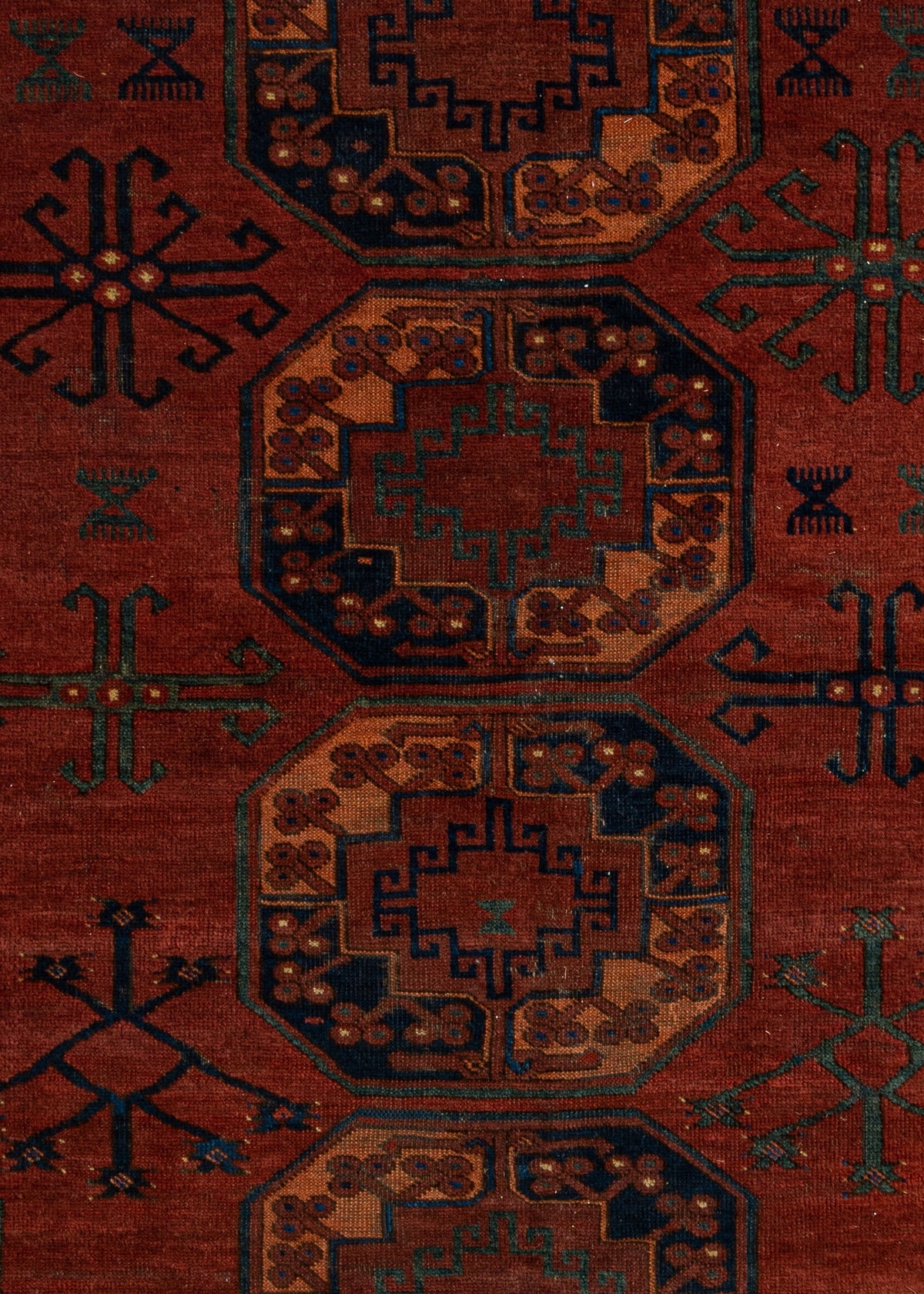 264 x 254 Afghan