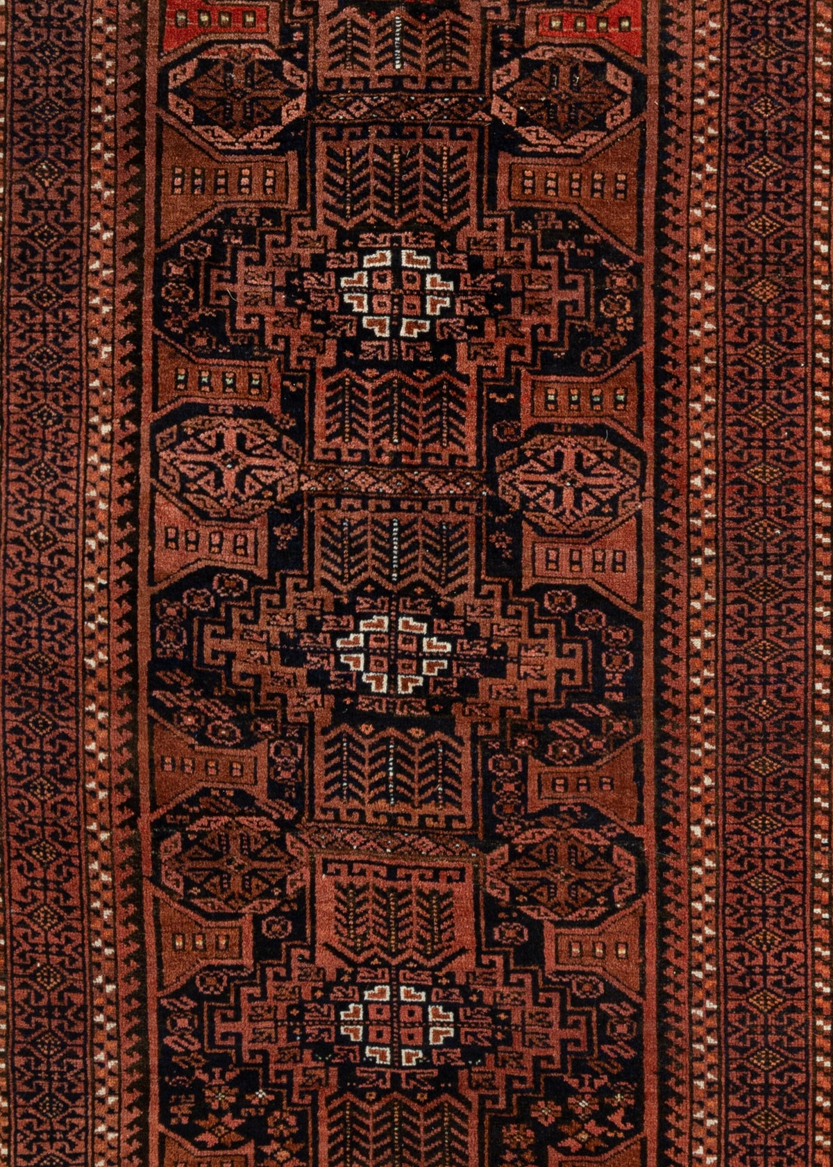 300 x 156 Turkmen