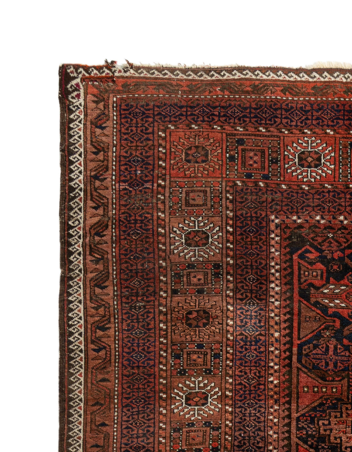 300 x 156 Turkmen