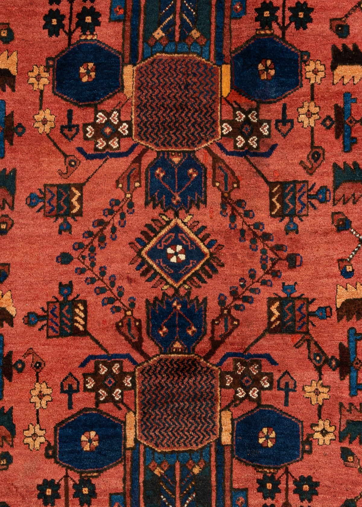 195x130 Afshar