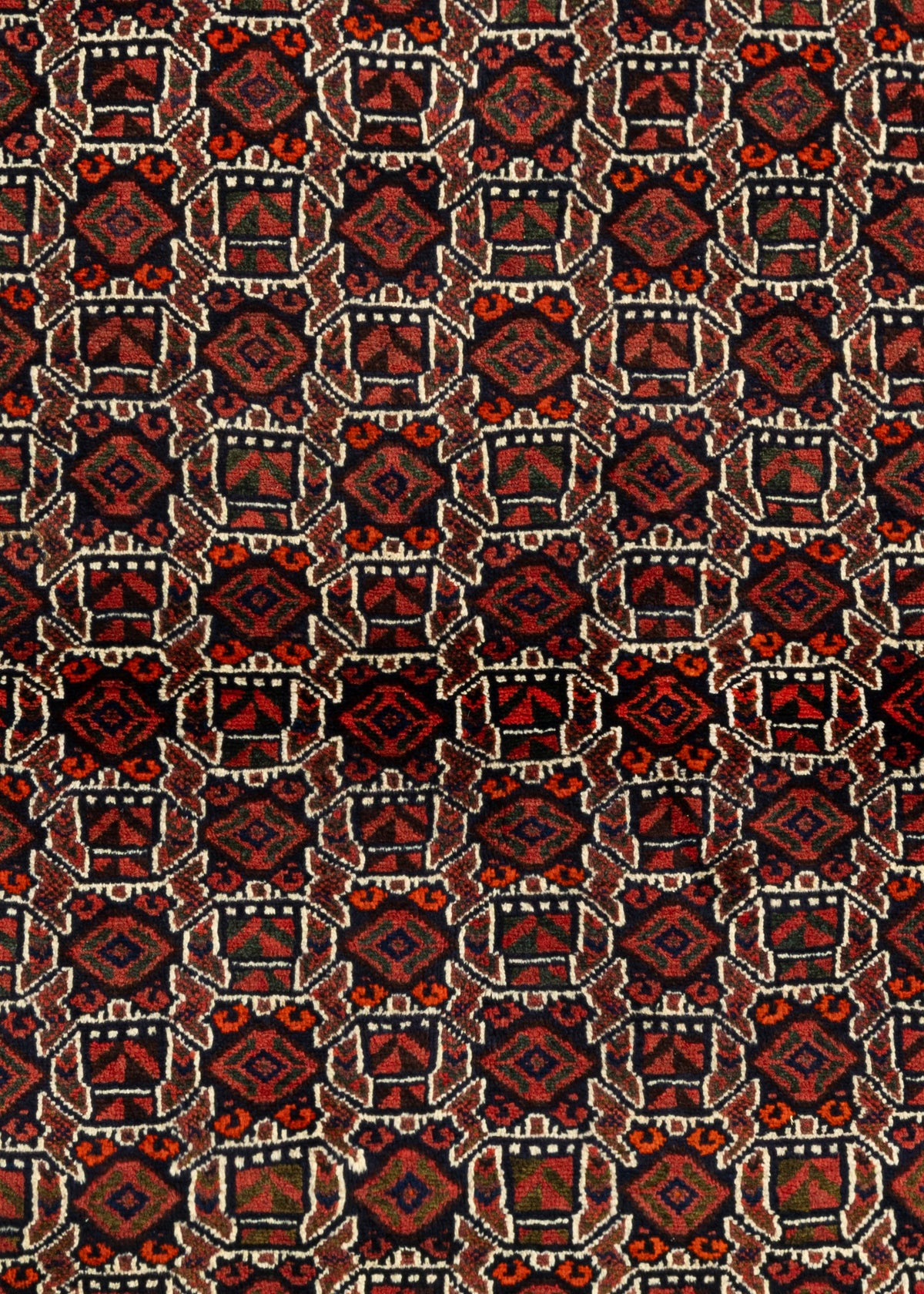 160 x 116 Shiraz