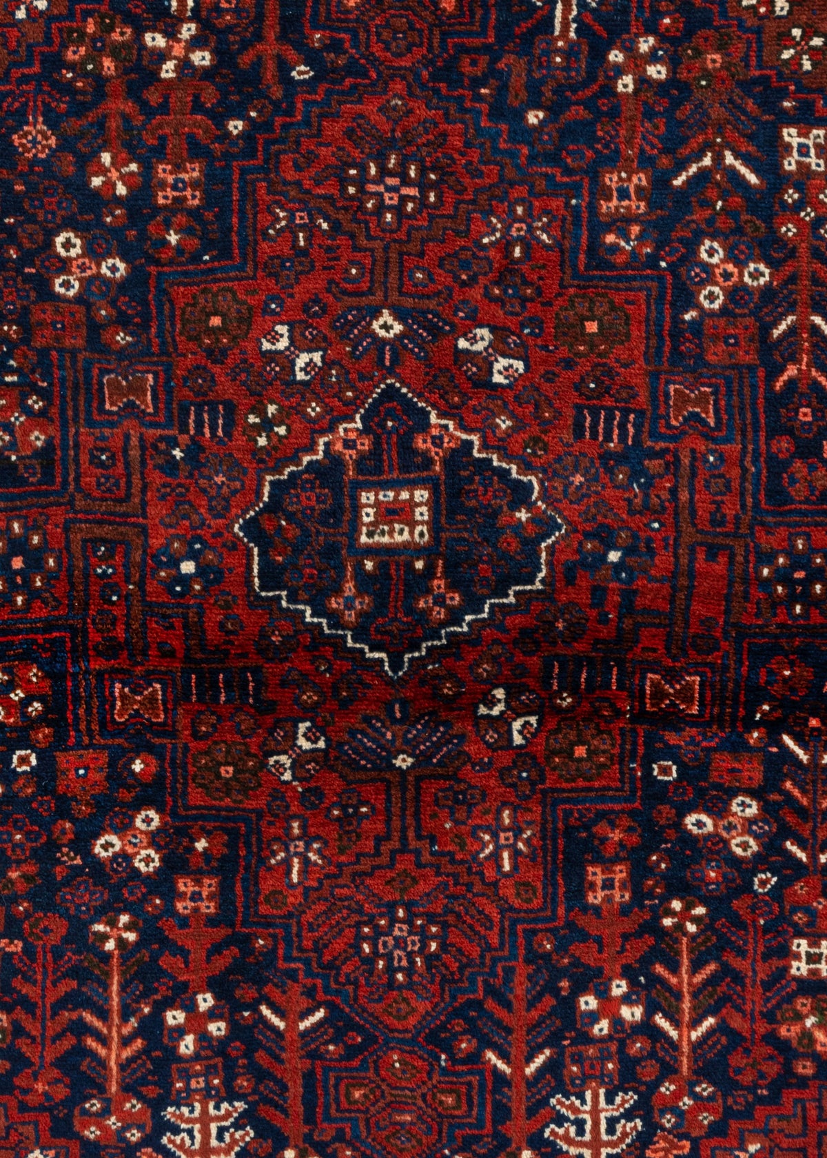 151 x 112 Shiraz