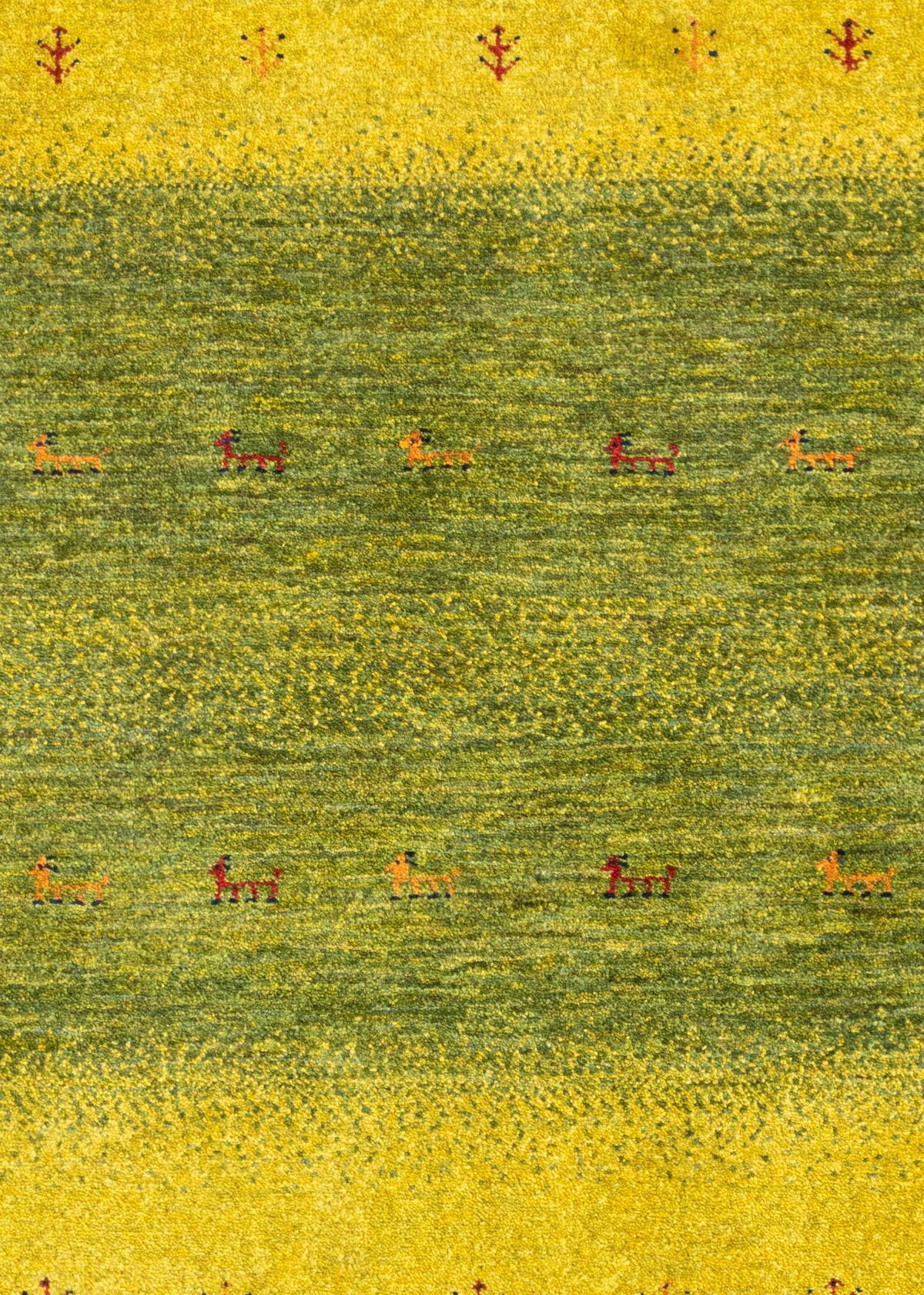 120 x 80 Kashkuli