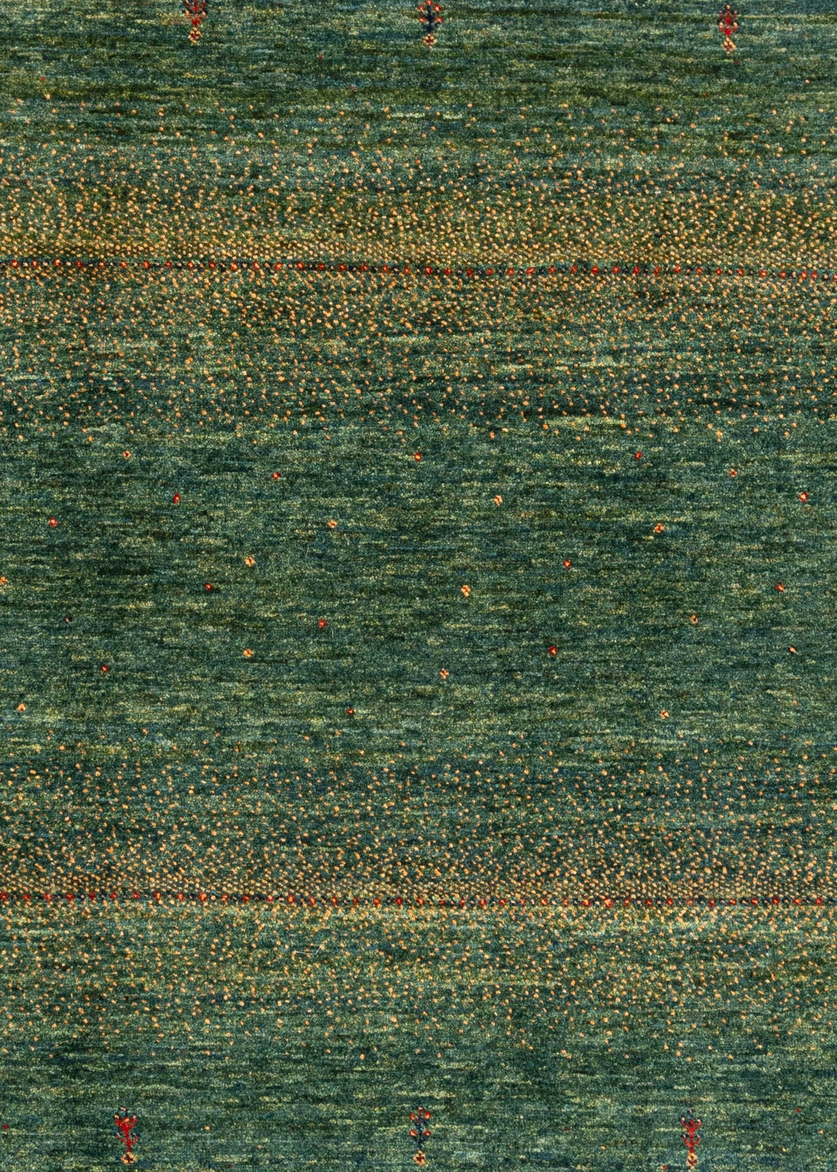 330 x 258 Kashkuli
