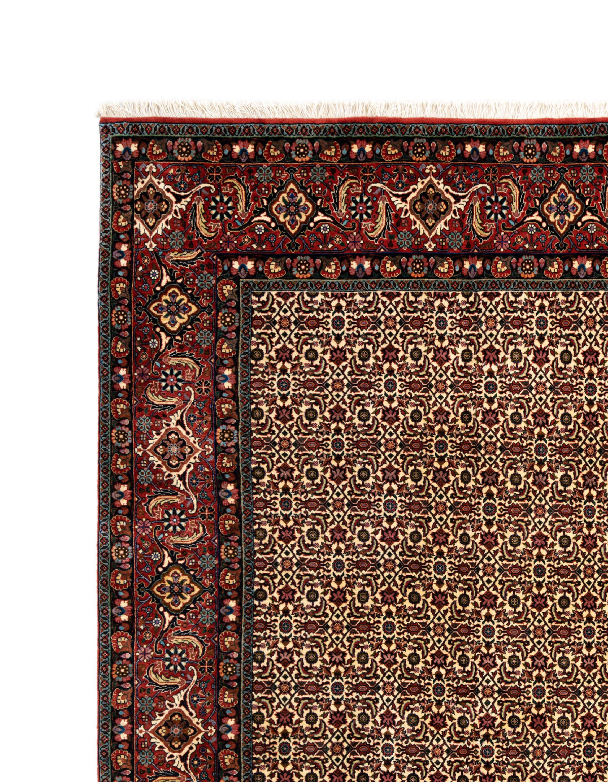259 x 256 Bidjar