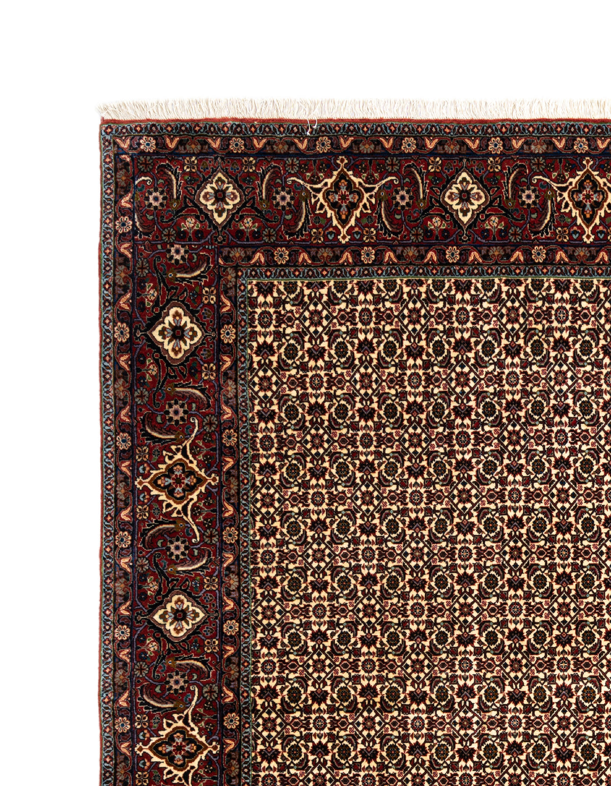 261x250 Bidjar