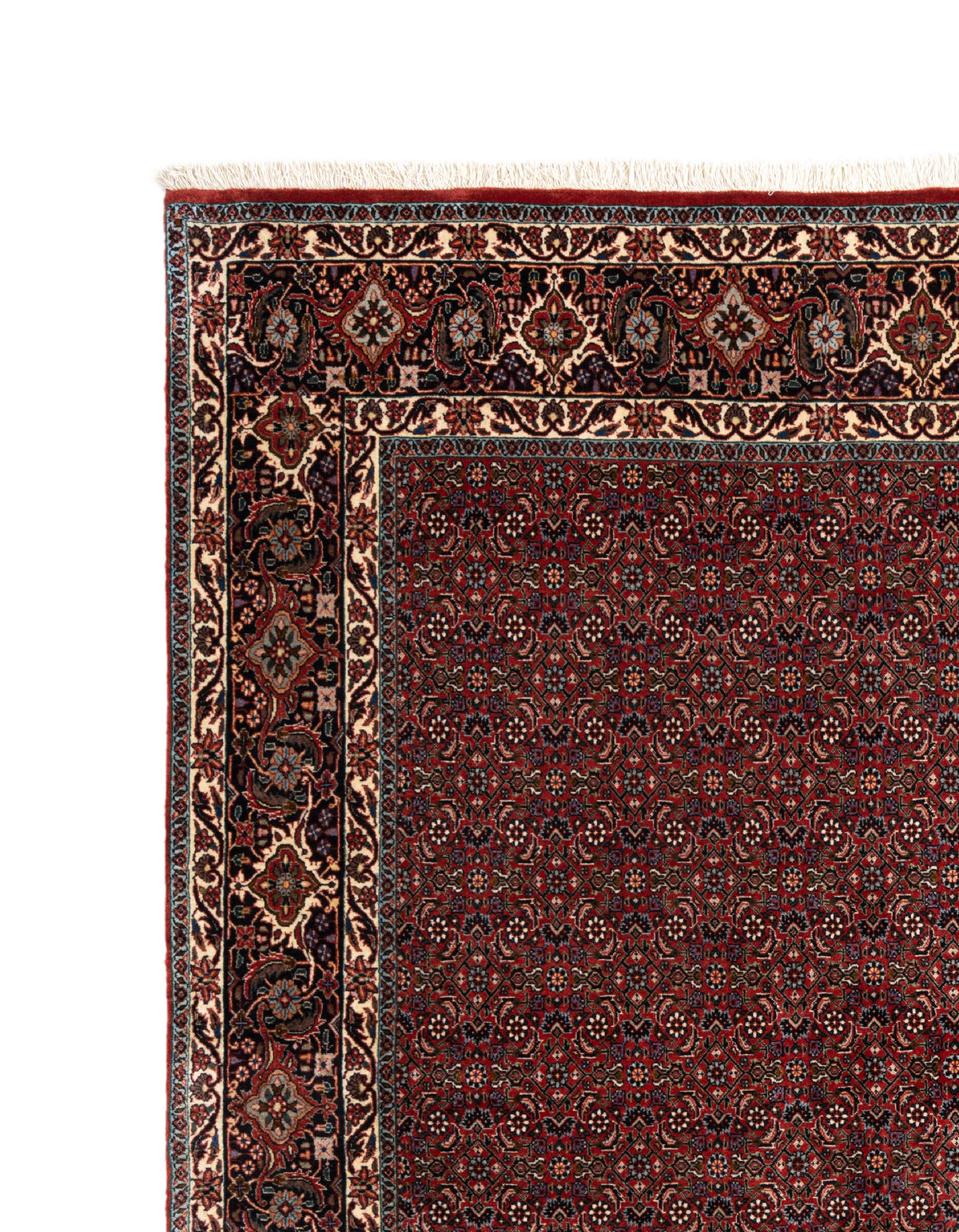 251 x 250 Bidjar