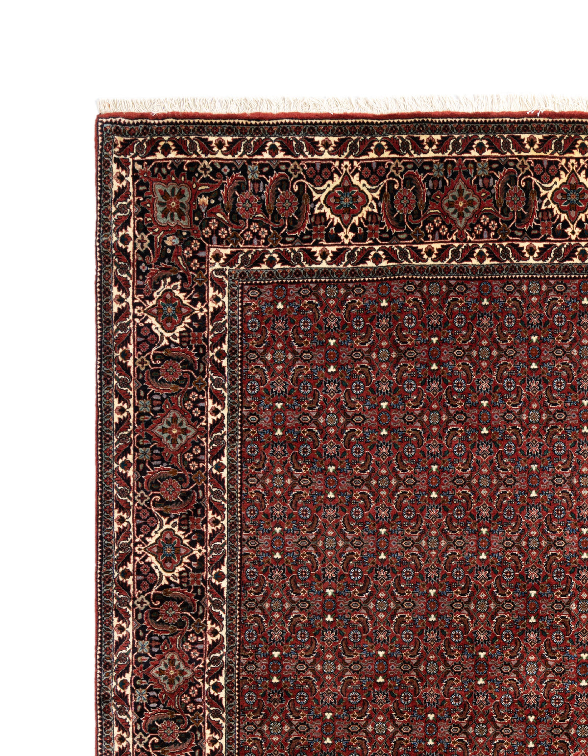 255 x 254 Bidjar