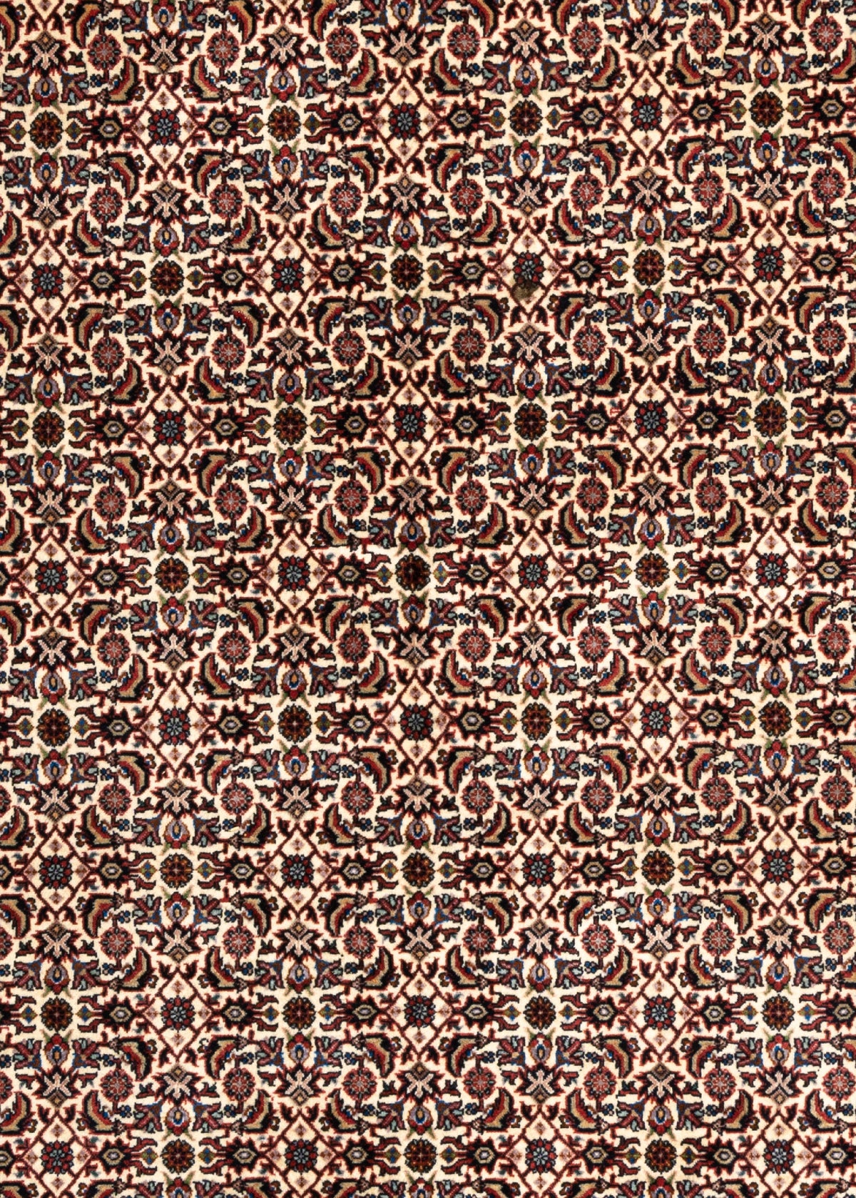 245 x 251 Bidjar