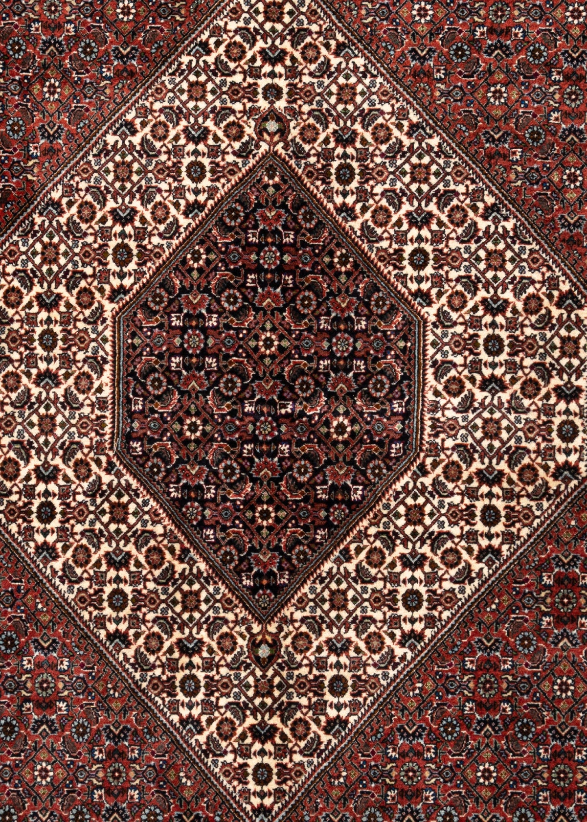 256x253 Bidjar