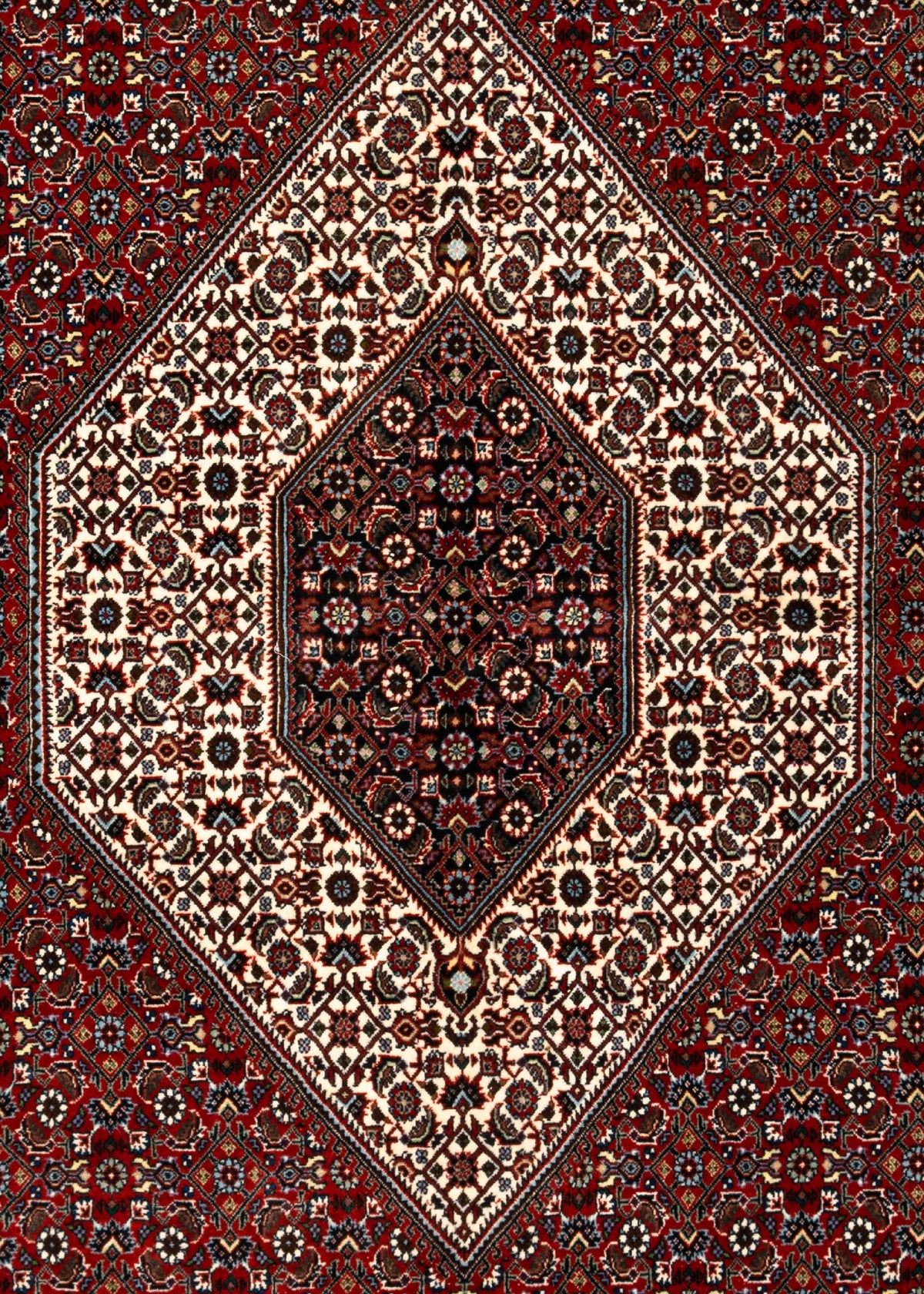 257 x 257 Bidjar