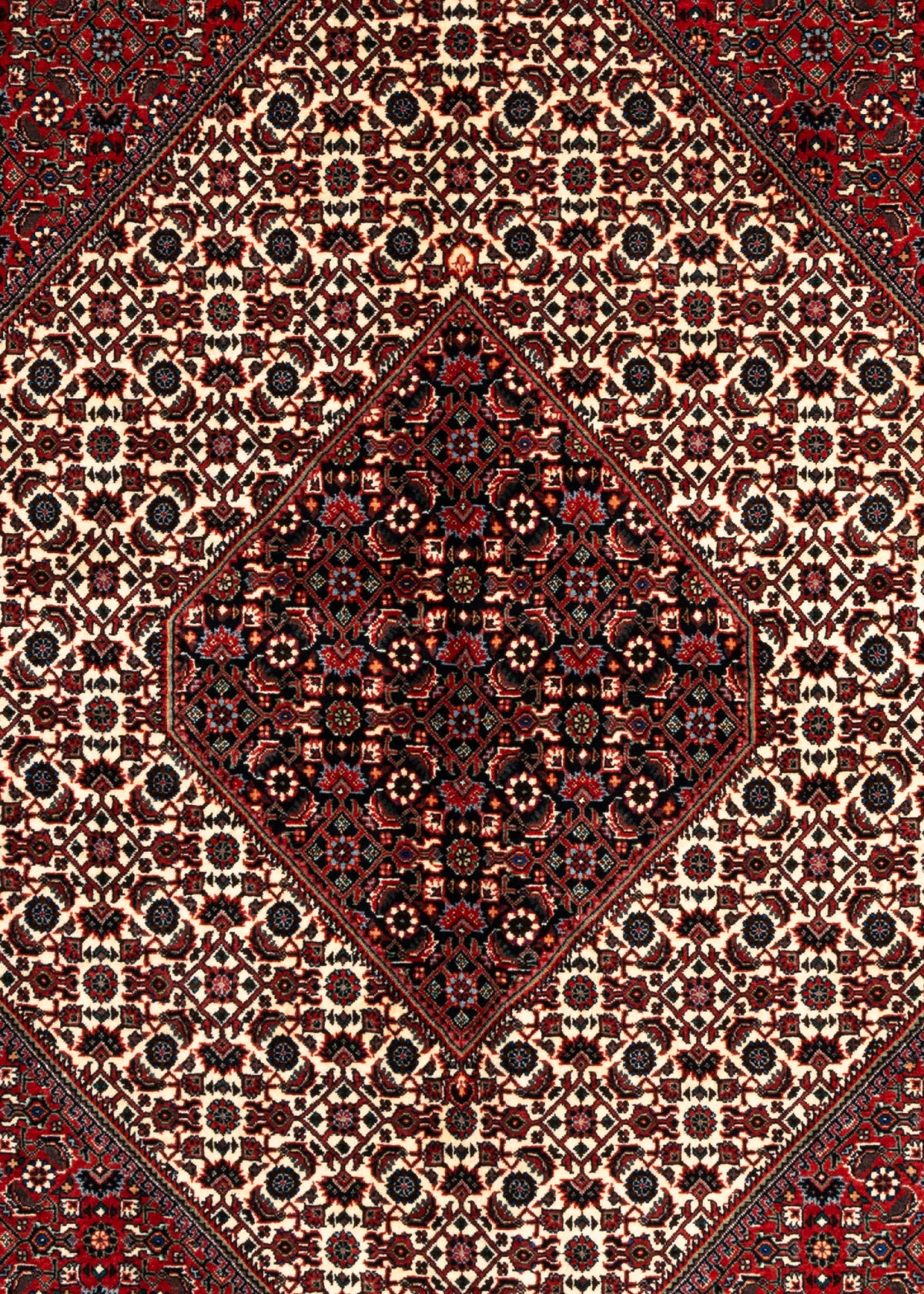 265 x 251 Bidjar
