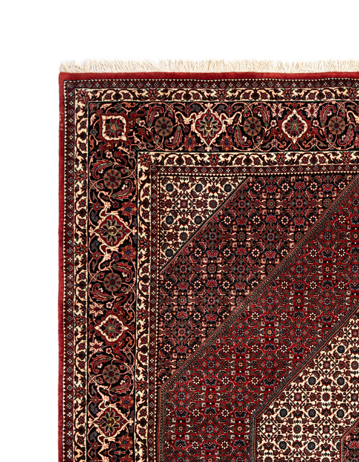 265 x 251 Bidjar