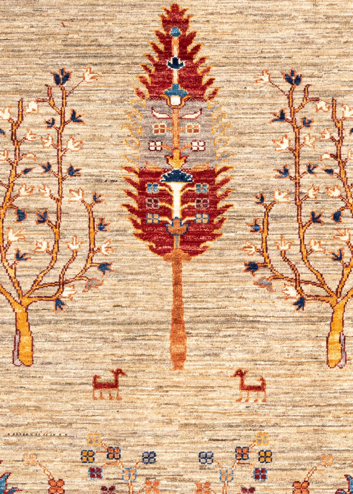 289 x 204 Aryana