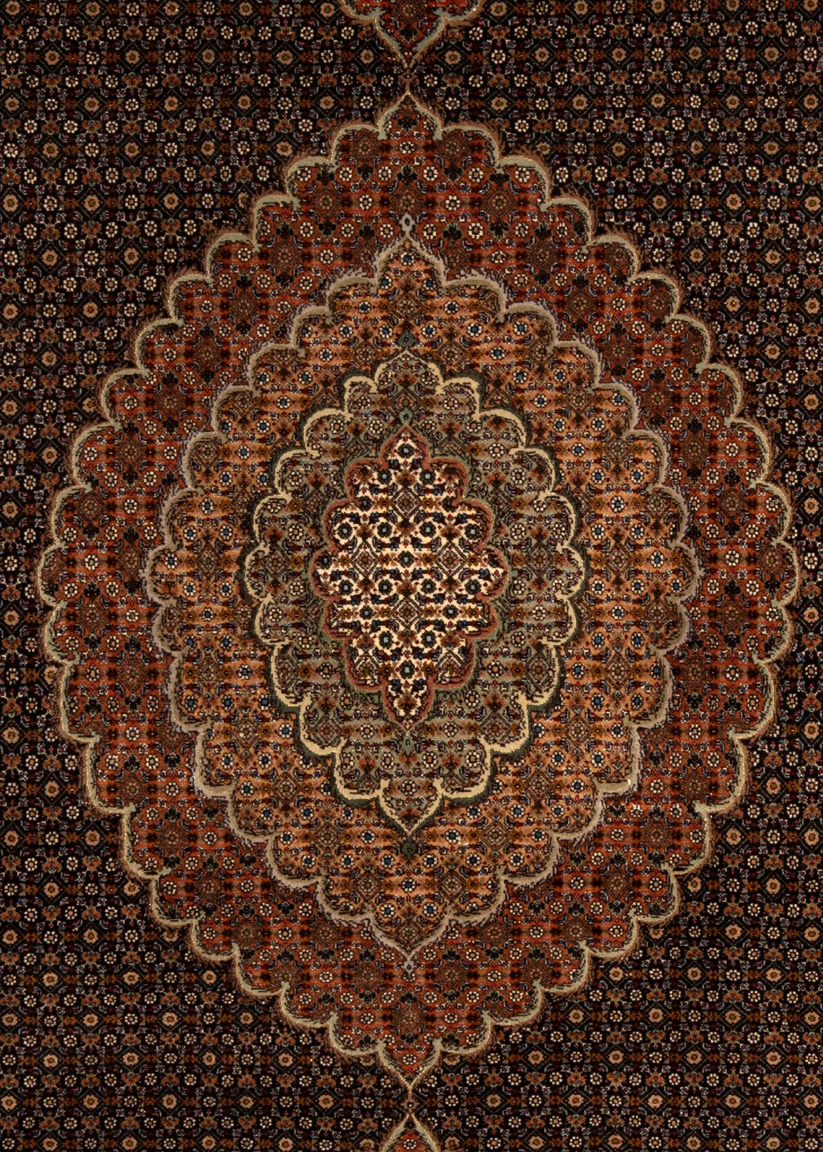 346 x 252 Täbriz Mahi