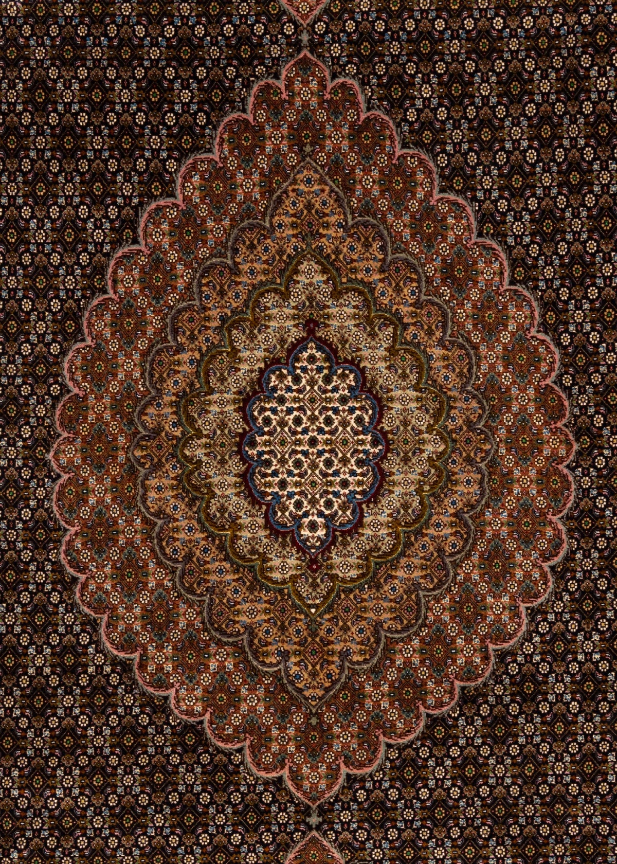 360 x 255 Täbriz Mahi