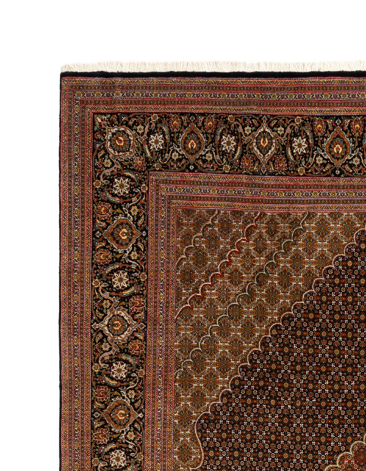 350x246 Tabriz Mahi