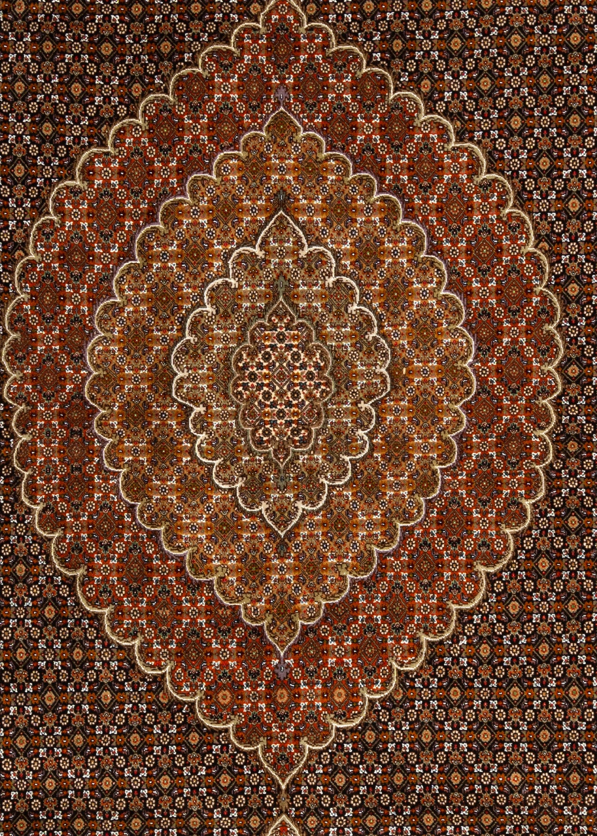 350x246 Tabriz Mahi