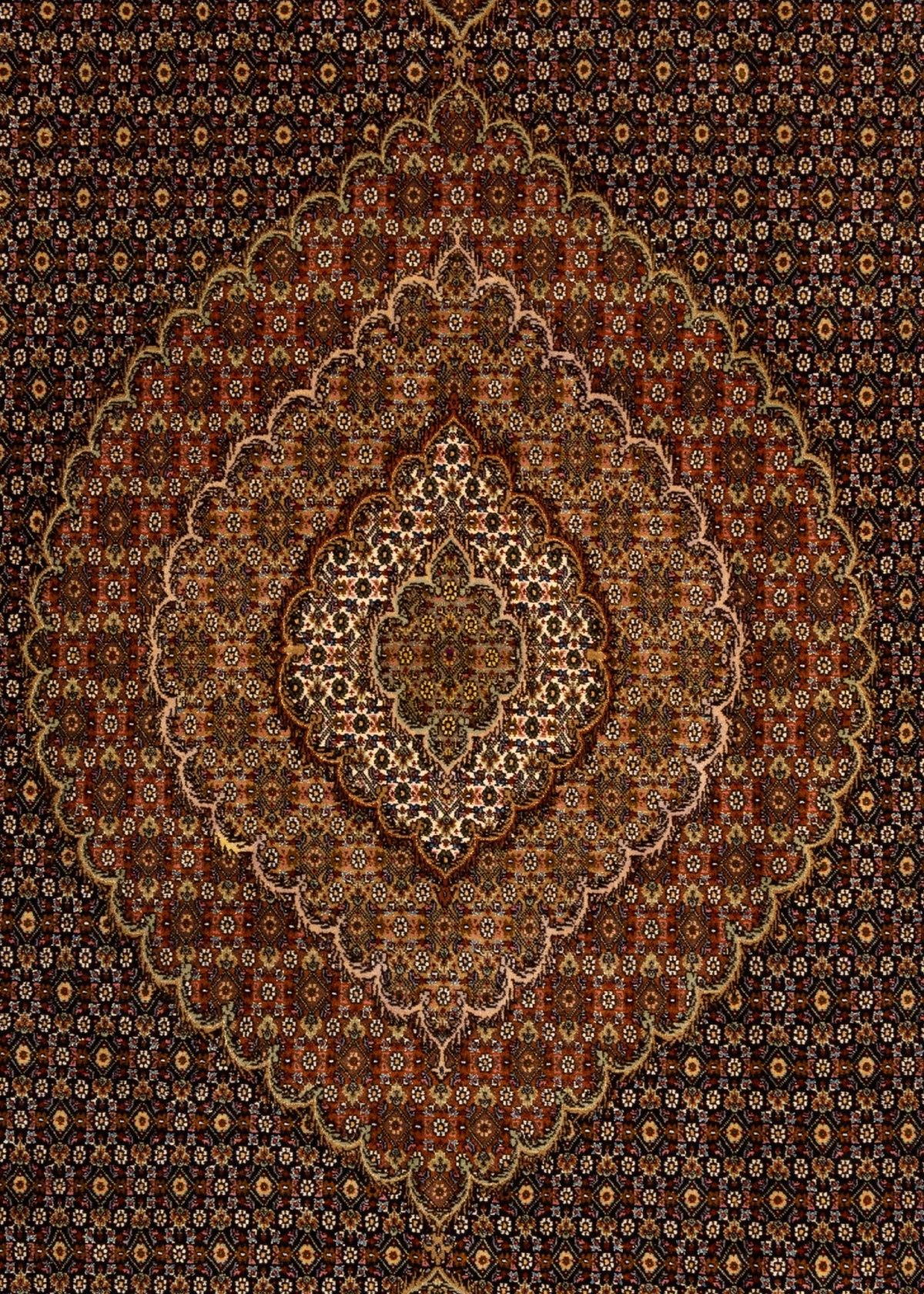 372 x 245 Täbriz Mahi