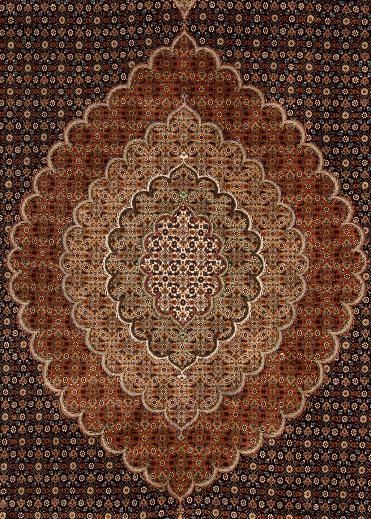 357x255 Tabriz Mahi