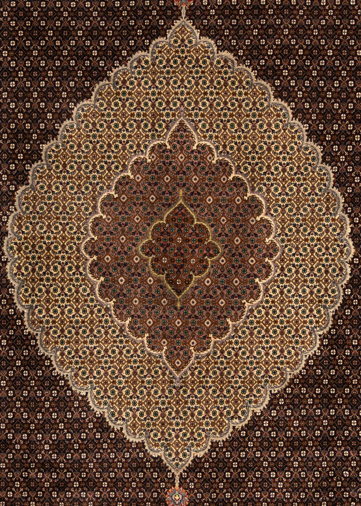 370x248 Tabriz Mahi