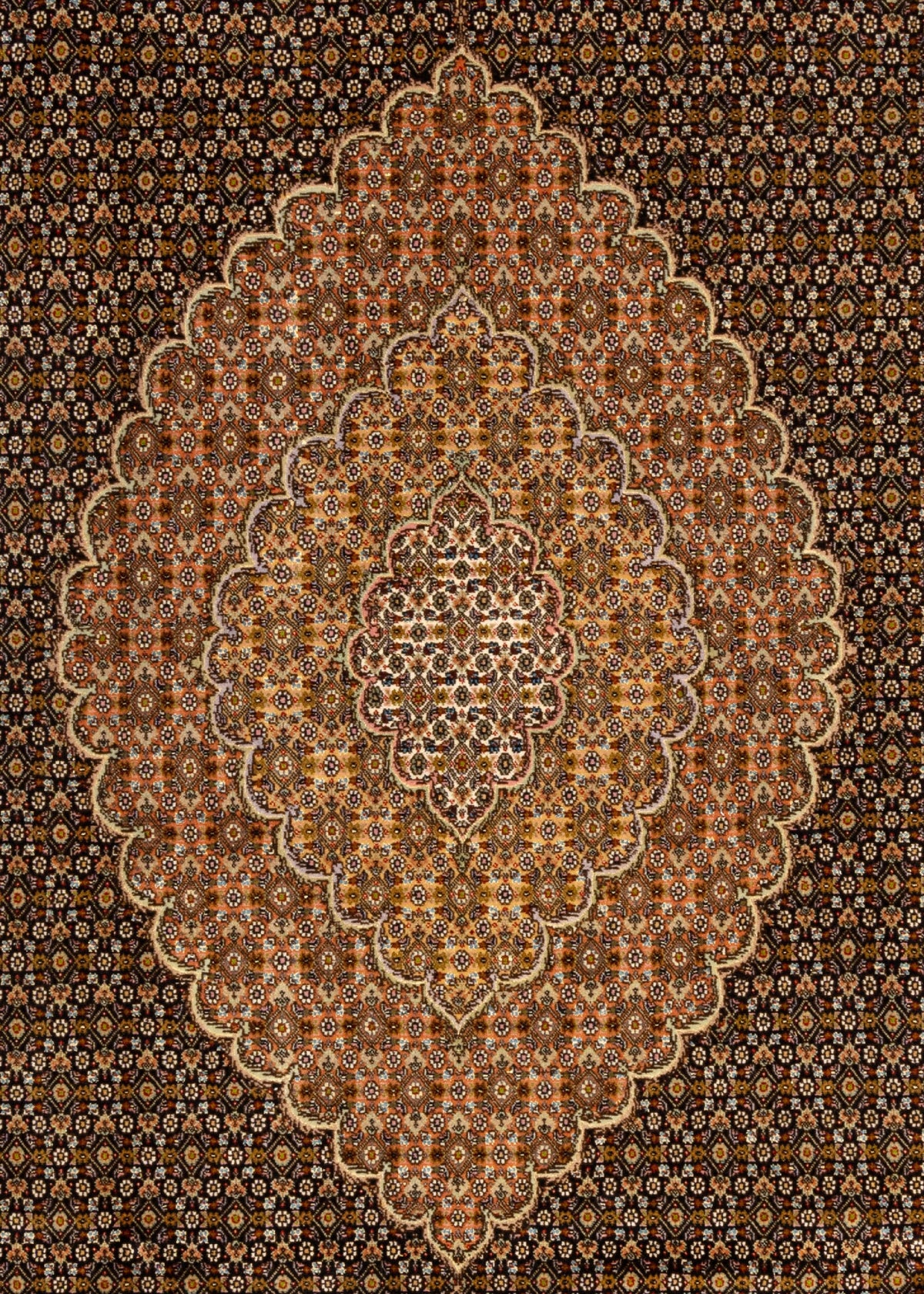 365 x 247 Täbriz Mahi