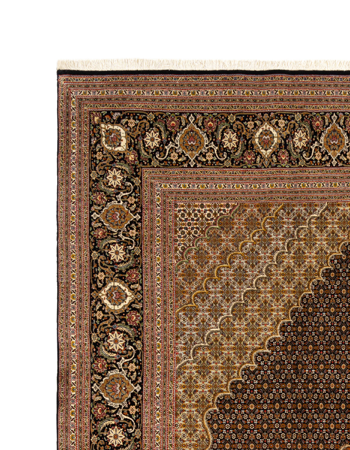334x254 Tabriz Mahi