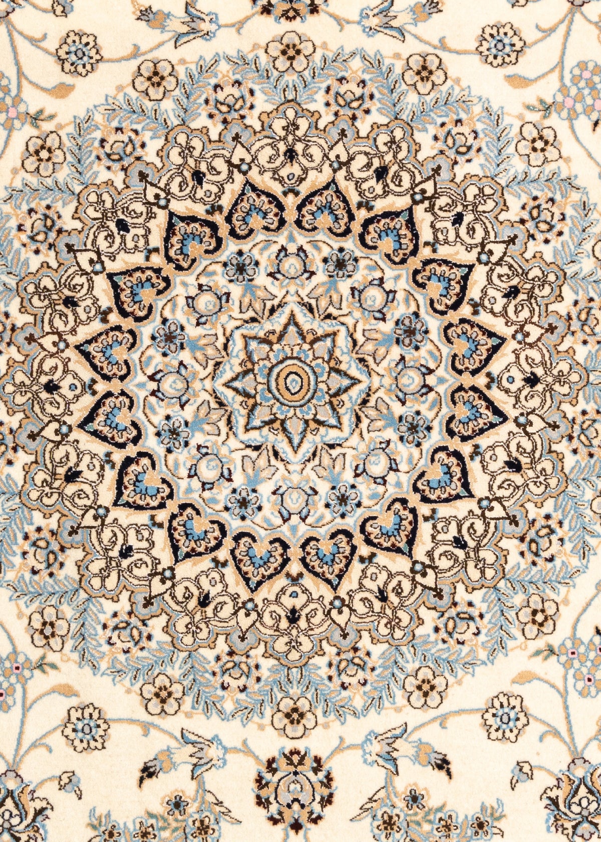 252 x 244 Nain 9 La