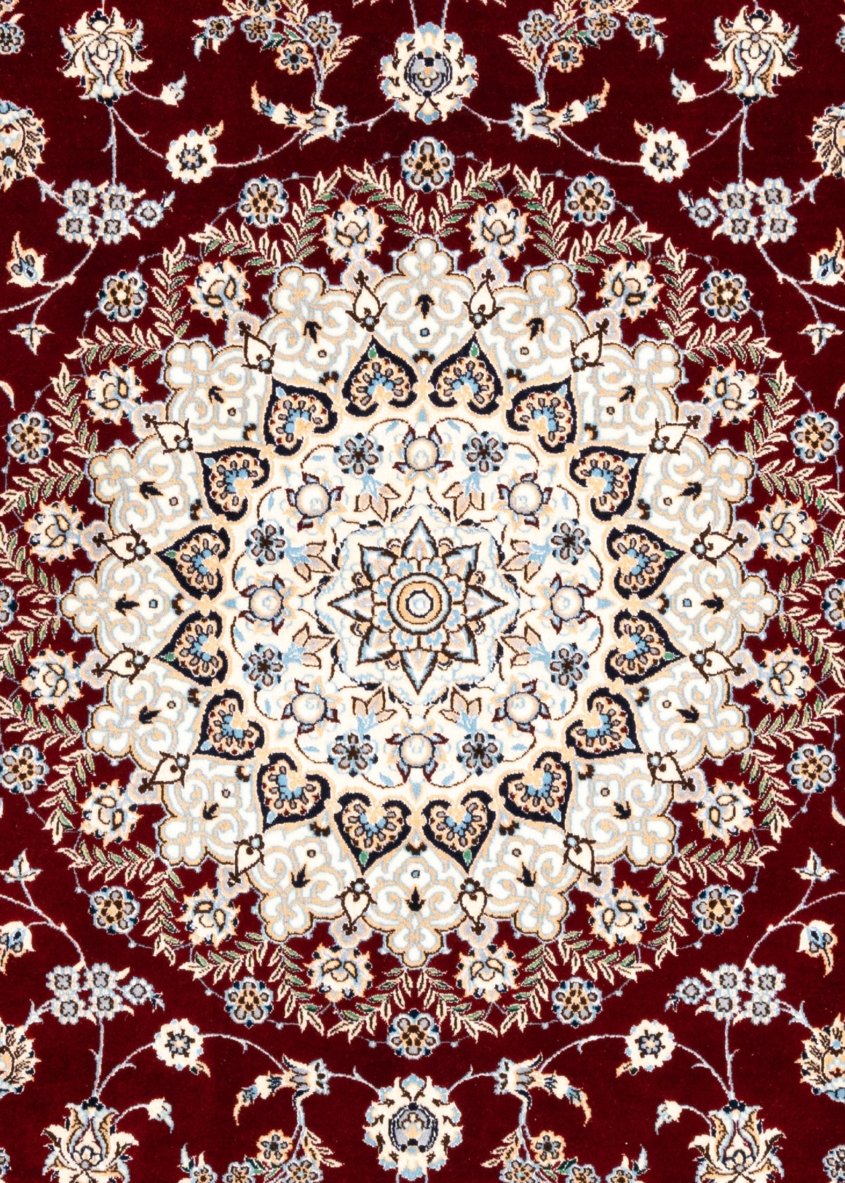 257 x 251 Nain 6 La