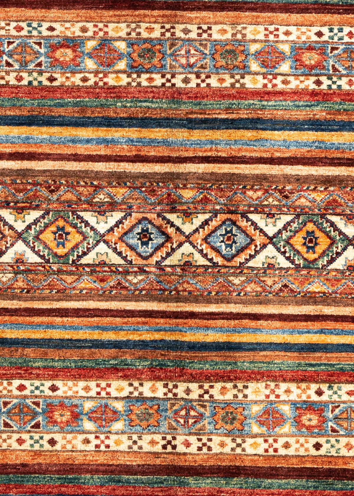 233 x 174 Torkman