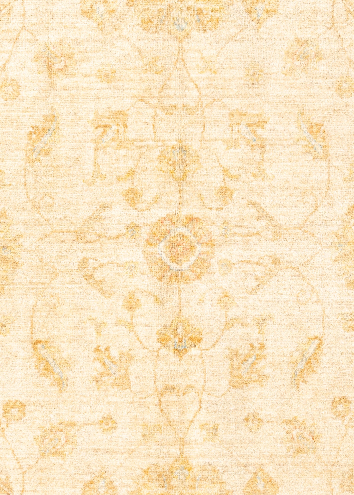 300 x 207 Ziegler