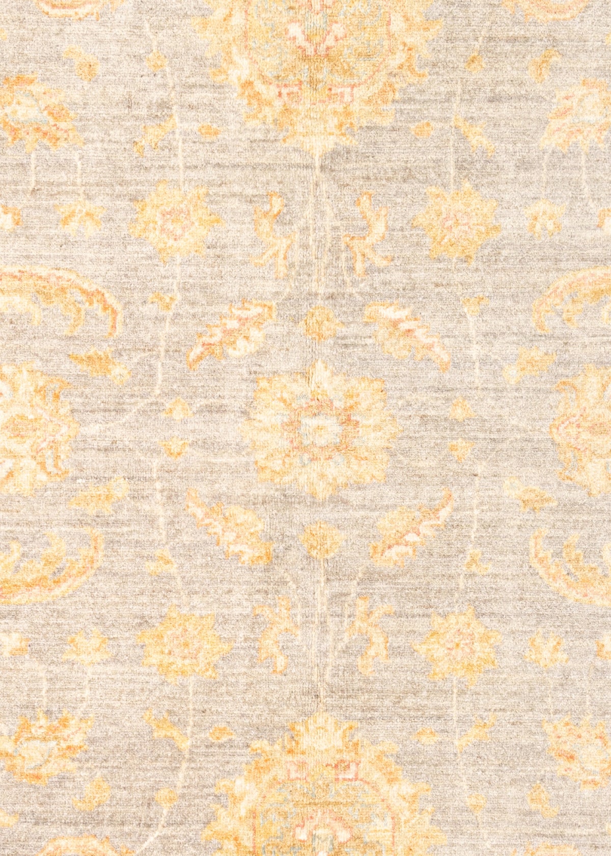 304 x 197 Ziegler
