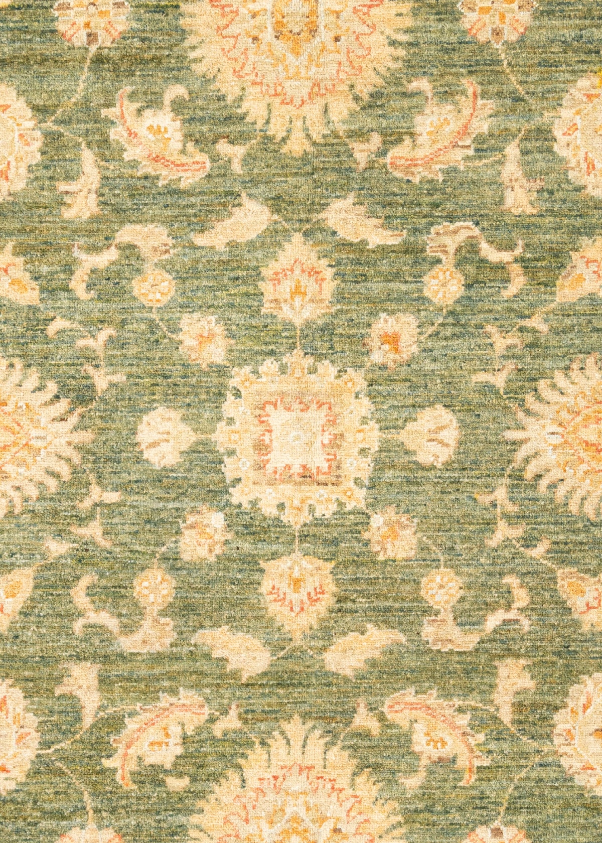 298 x 200 Ziegler