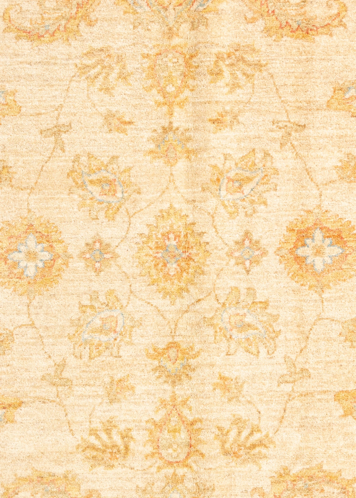 300 x 205 Ziegler