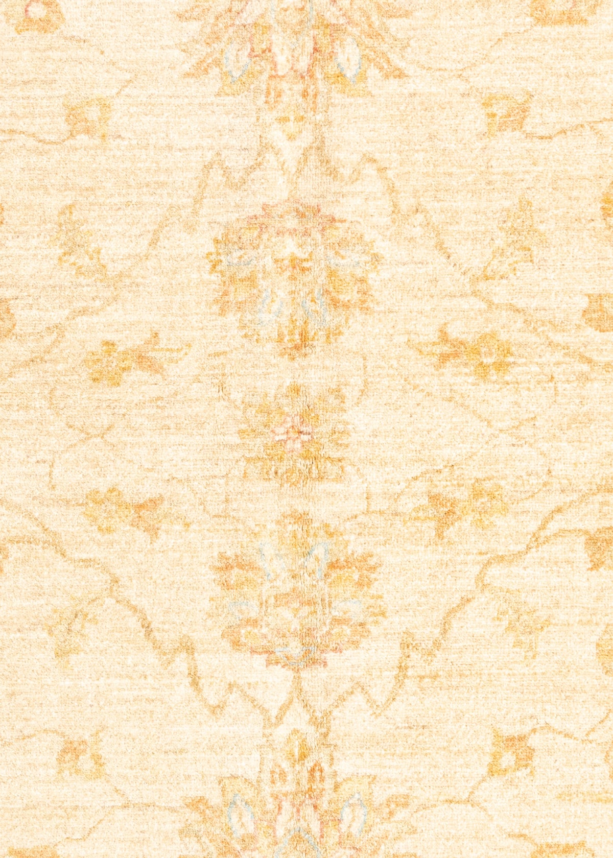 240 x 179 Ziegler
