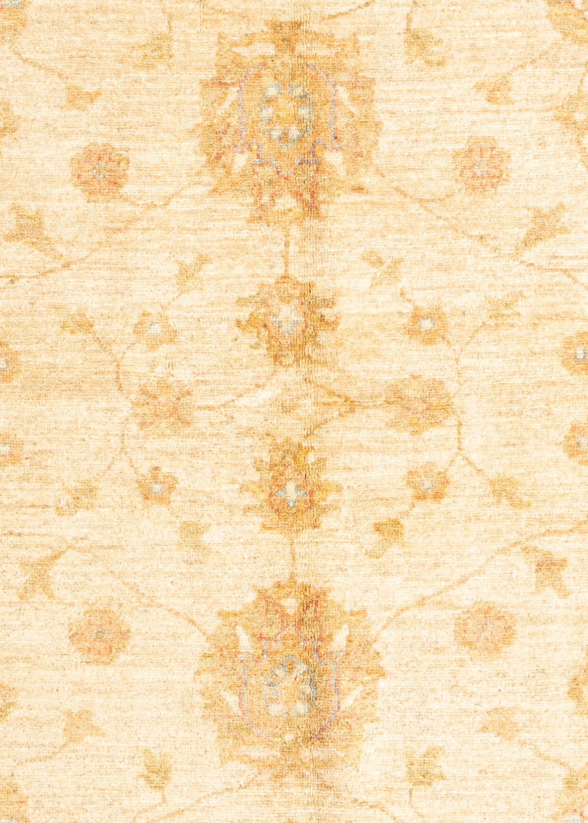 238 x 180 Ziegler