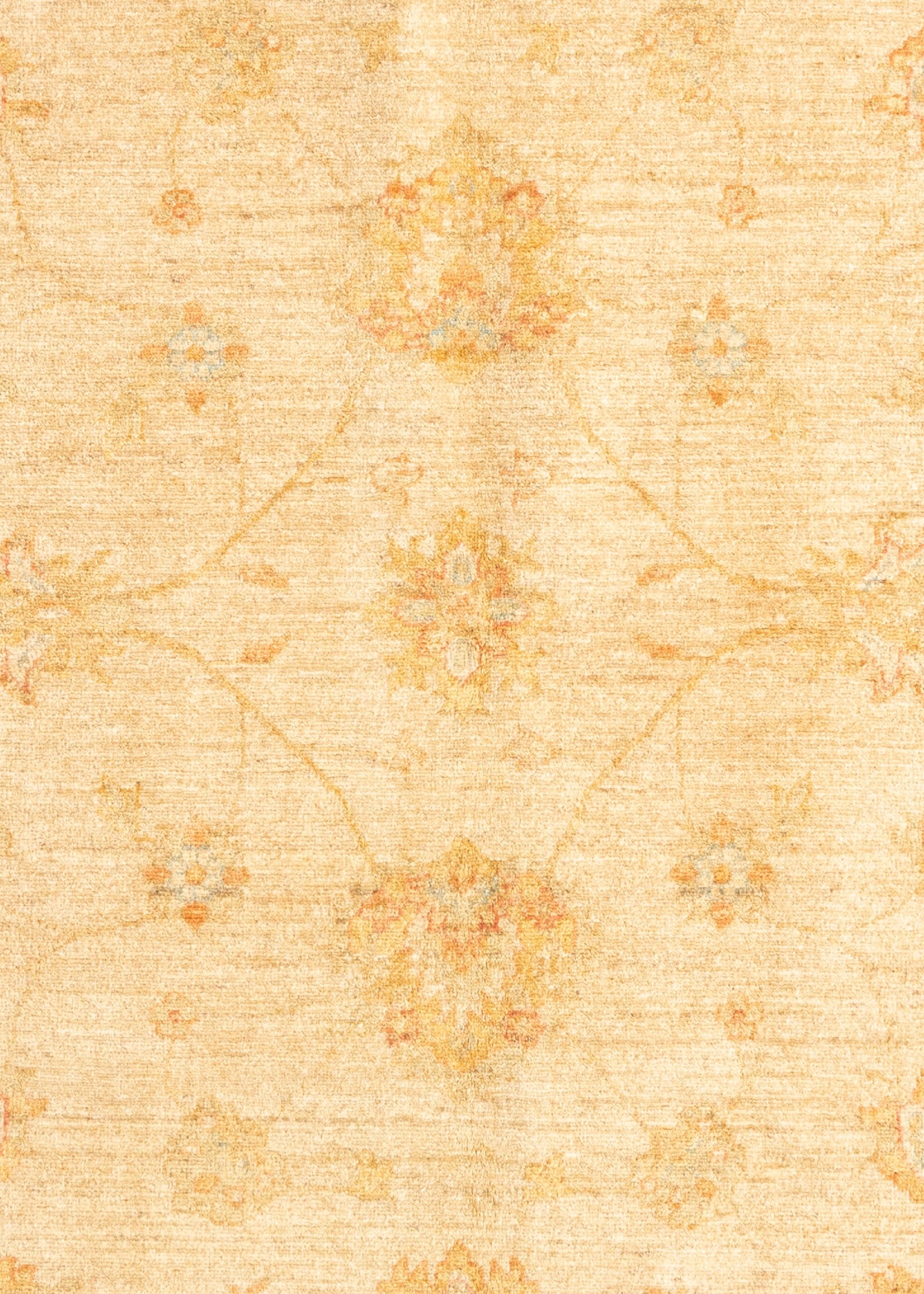 295 x 204 Ziegler