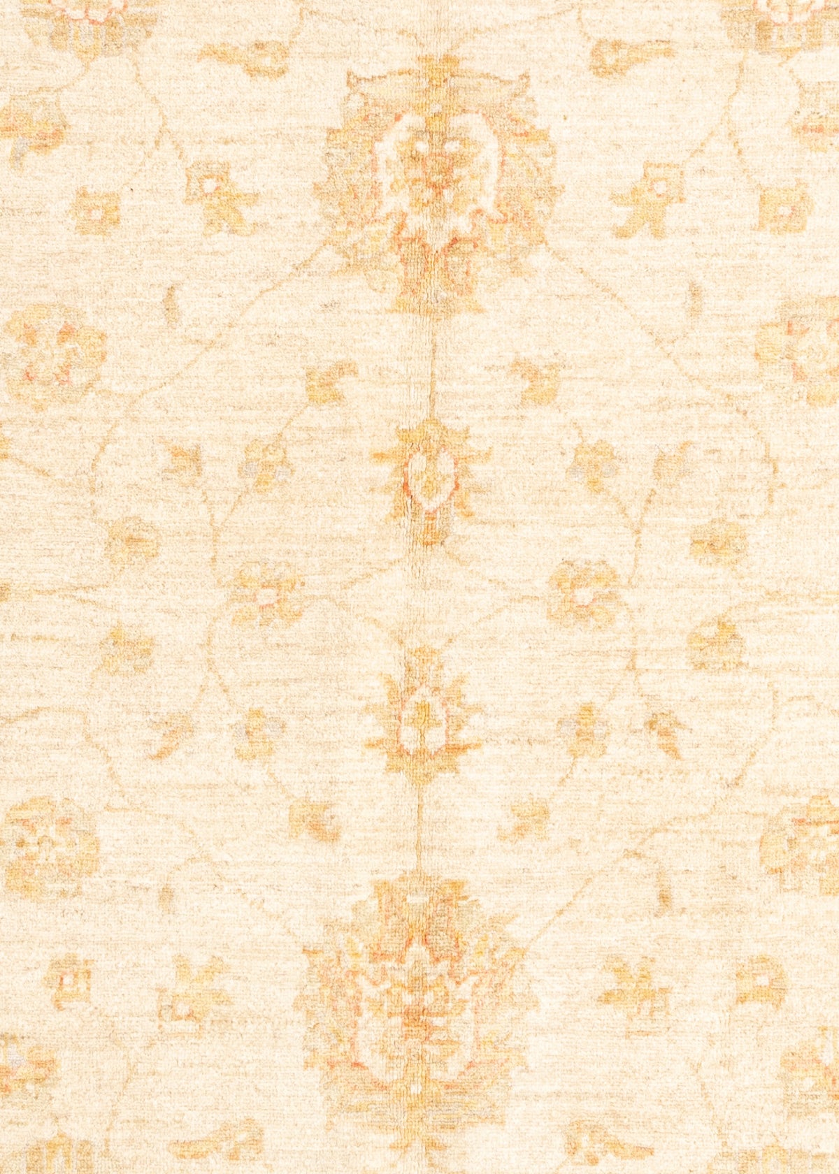 204x206 Ziegler