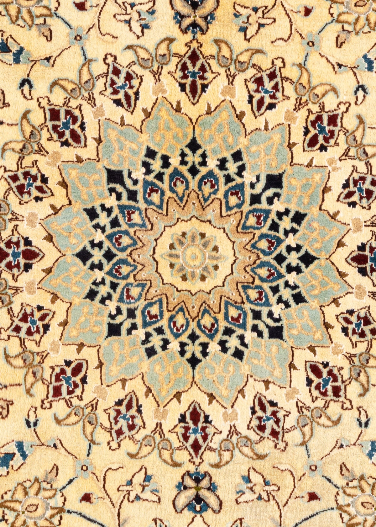 306 x 195 Nain 9 la mit Seide