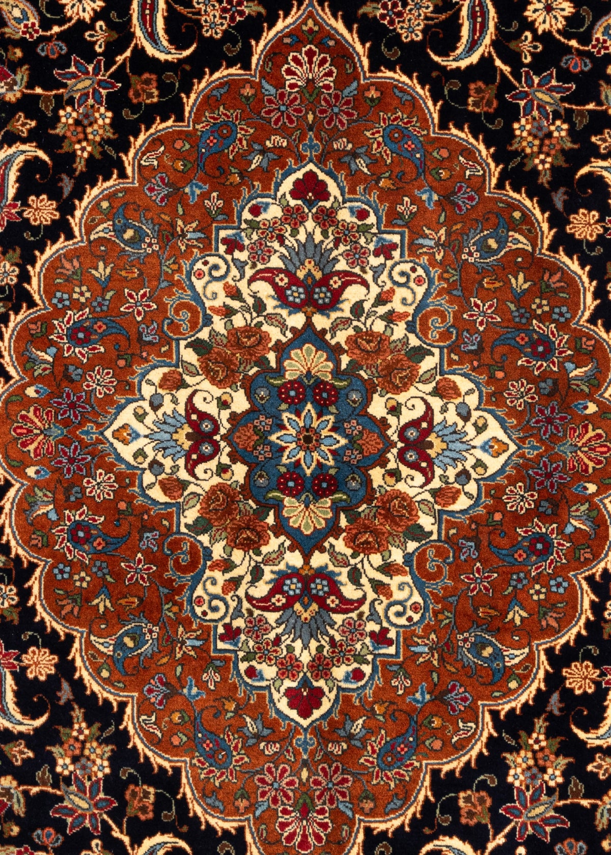 292x205 Meshed