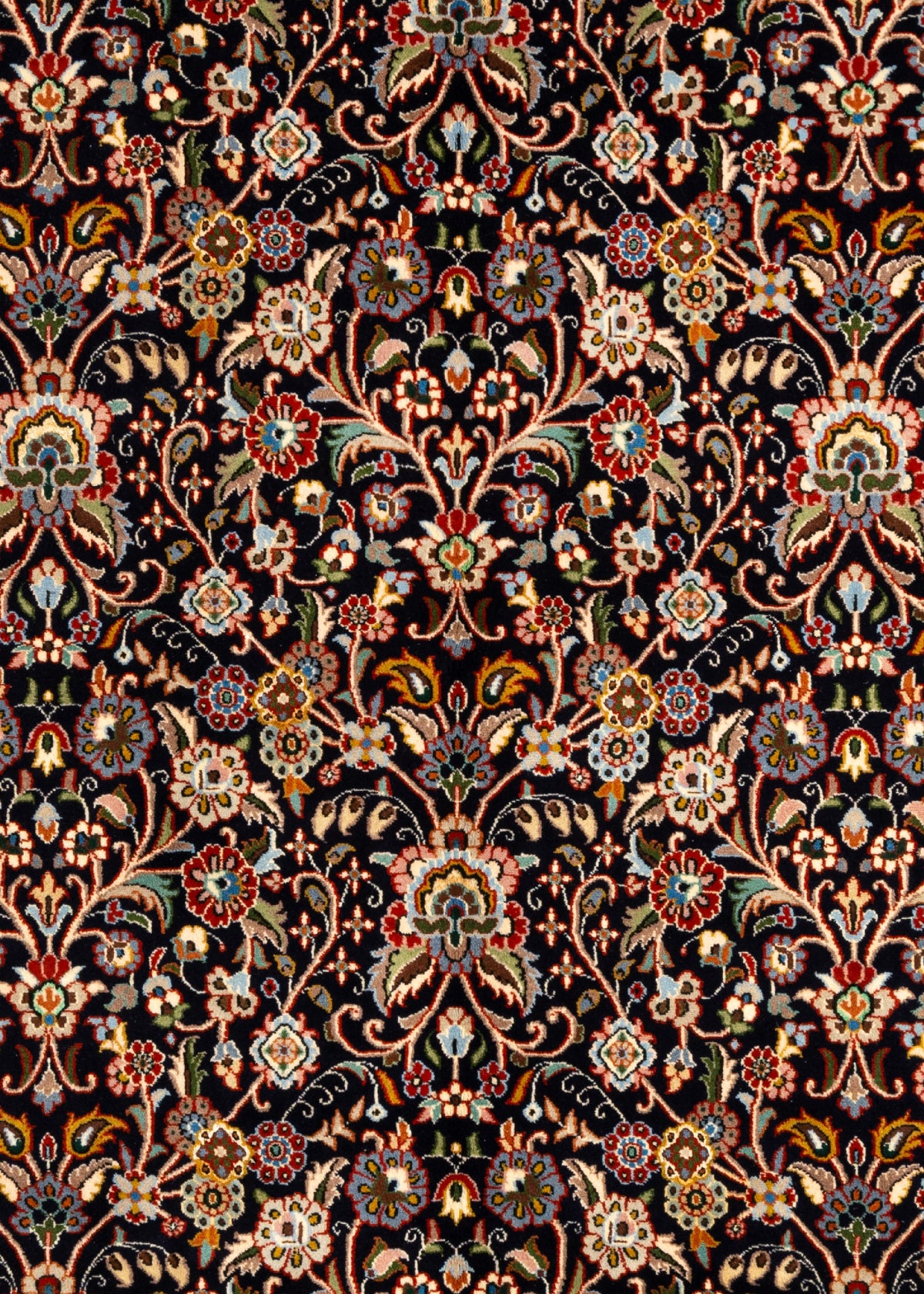 290x201 Meshed