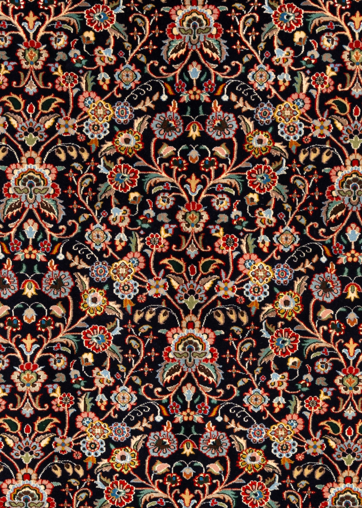 273 x 205 Moud