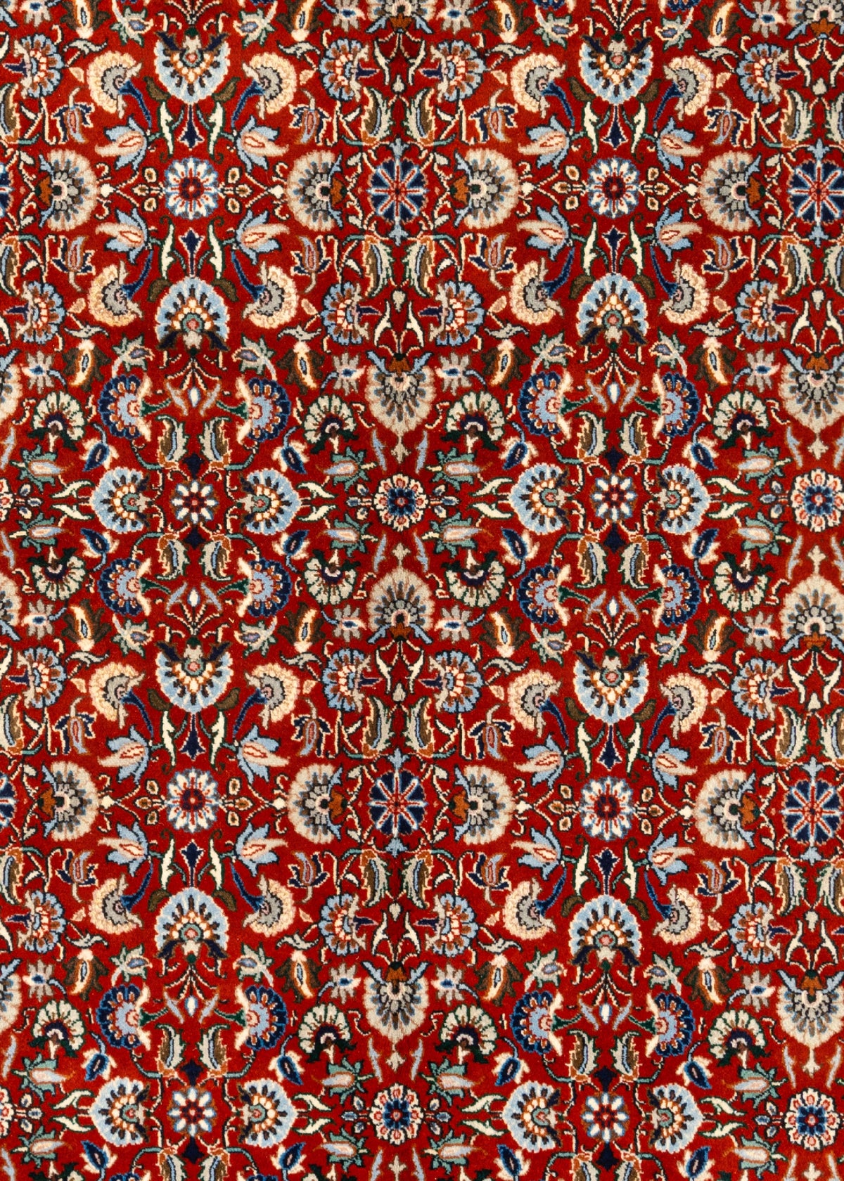 291 x 189 Moud