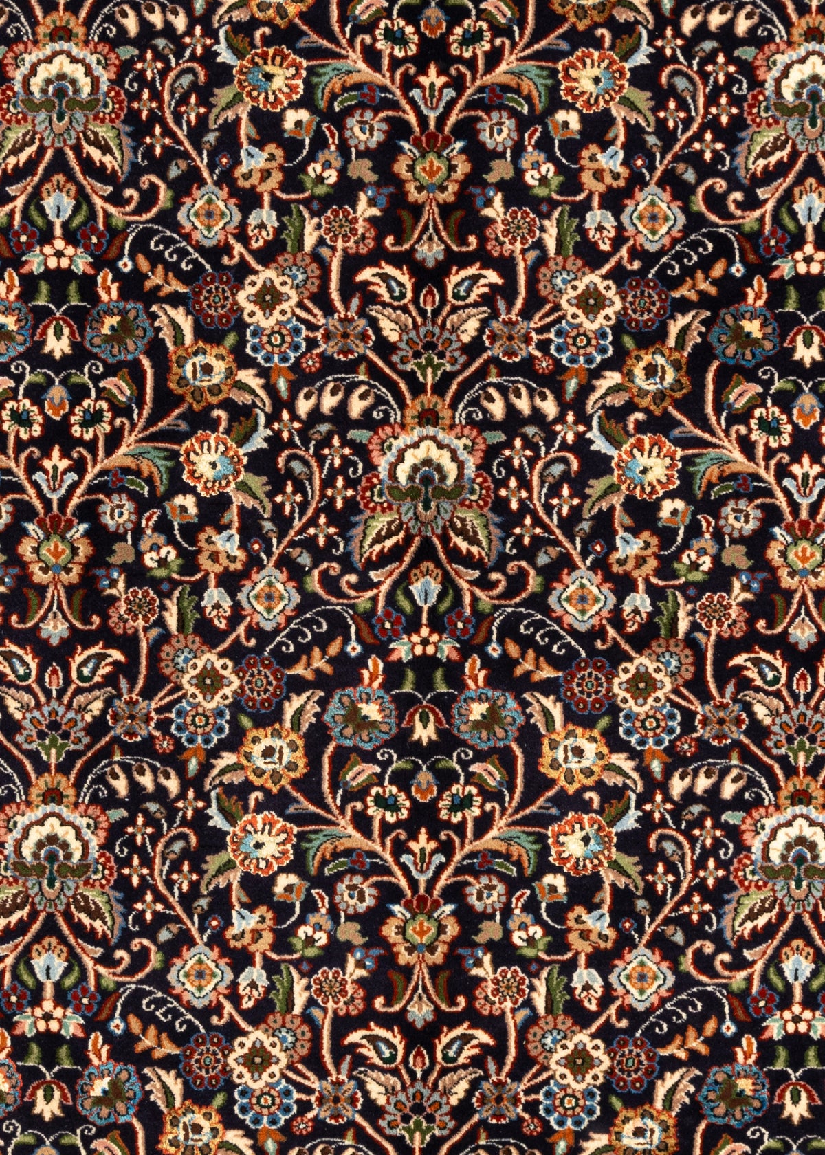 294x208 Moud