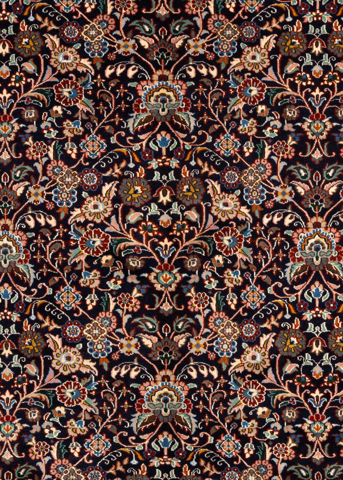 291 x 201 Moud