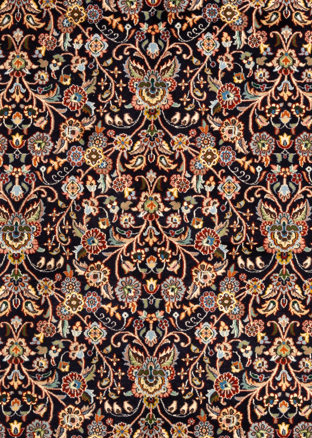 291 x 203 Moud