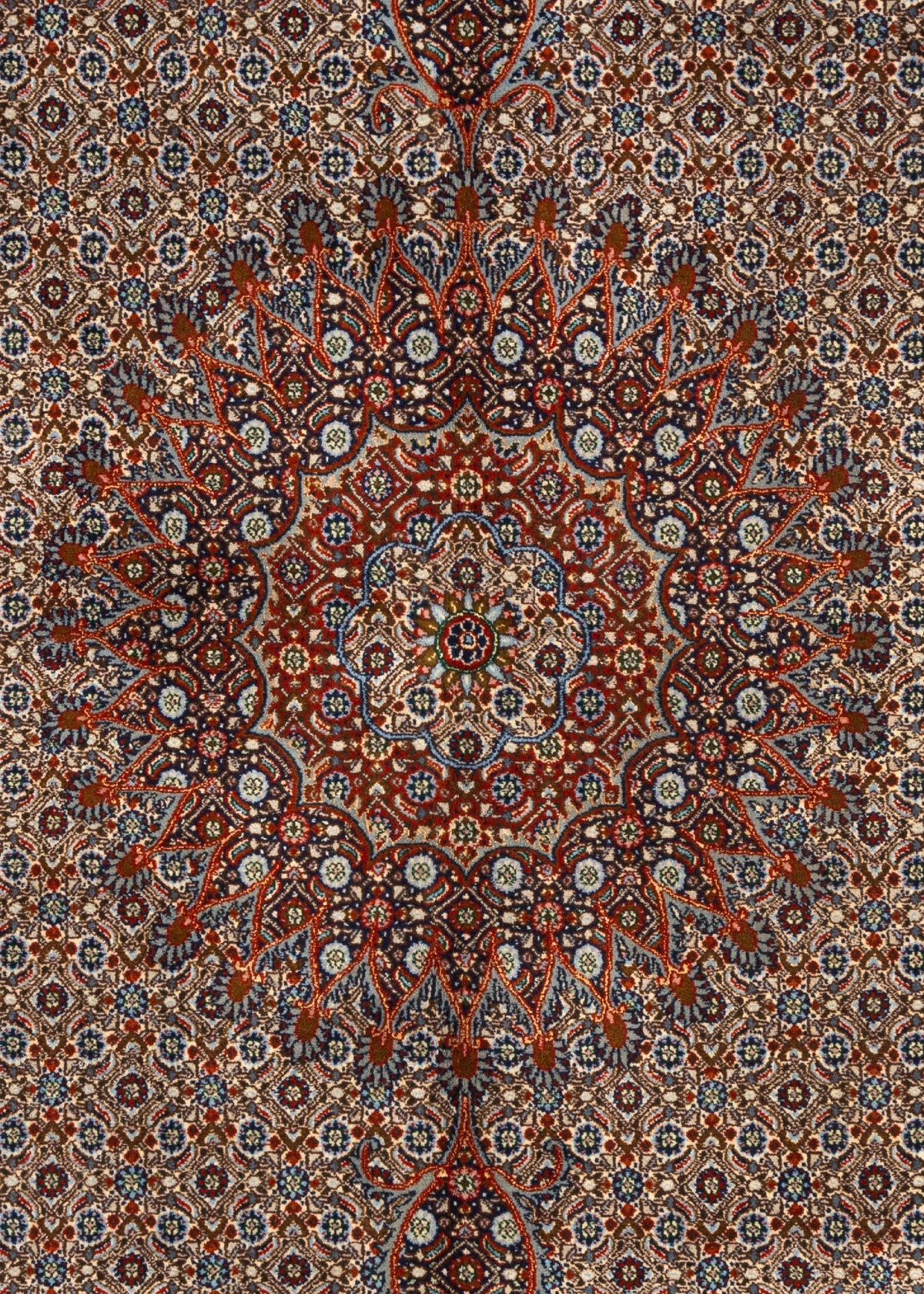 286x200 Moud