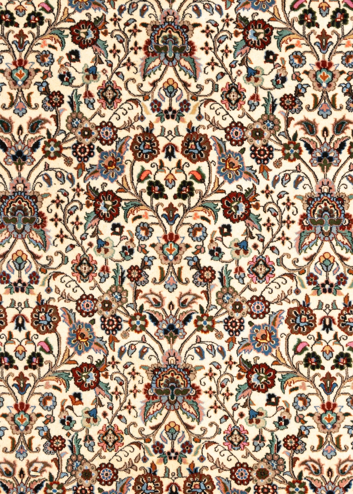 290 x 196 Moud