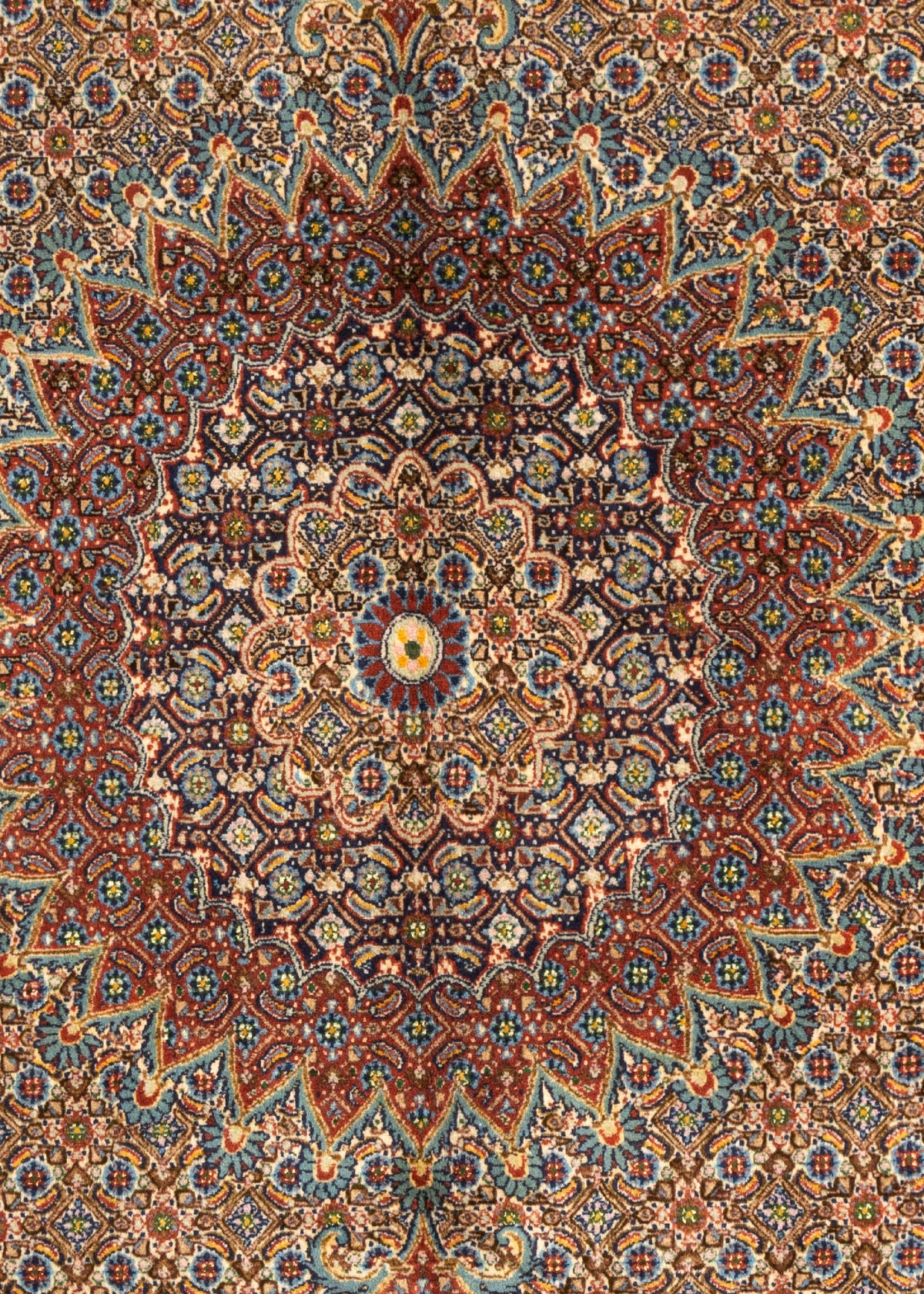 290 x 195 Moud