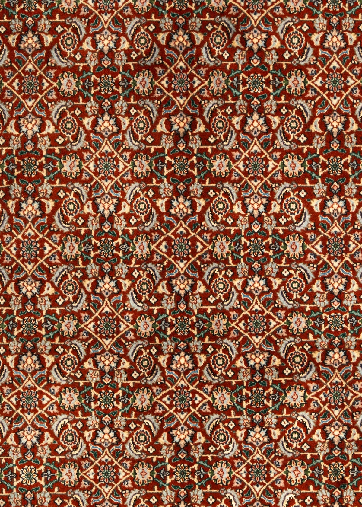 298 x 200 Moud